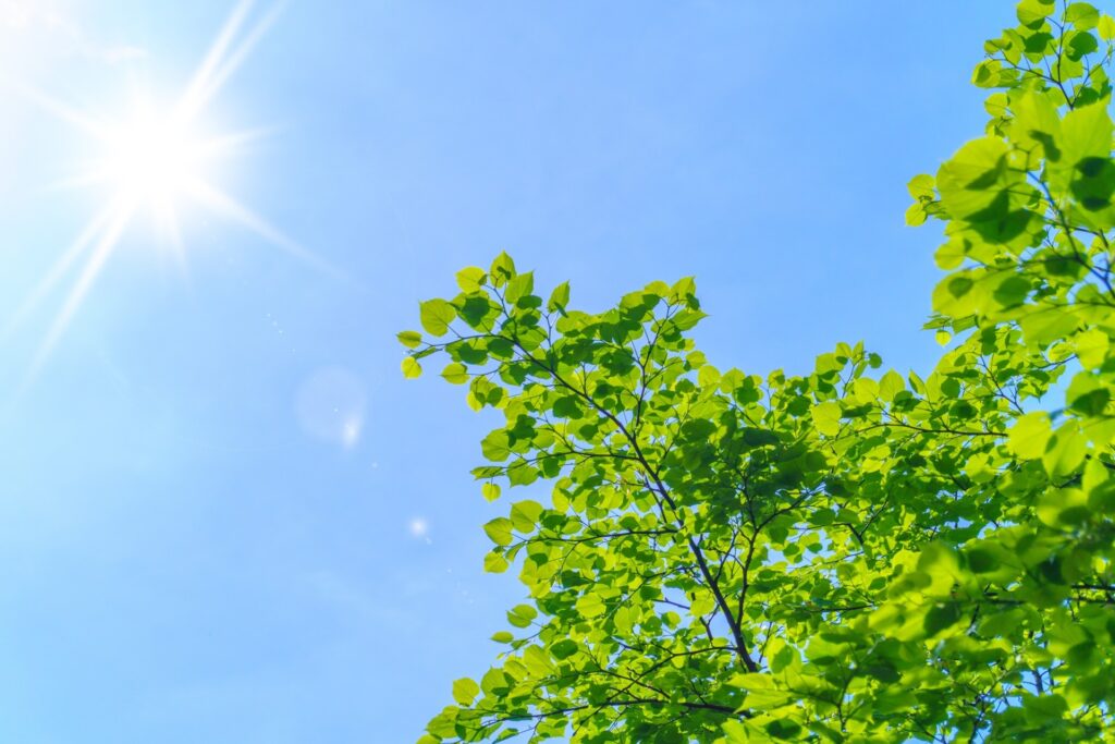 熱中症を防ぐために企業が取り組むべき予防施策